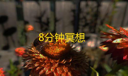 辅助低价发卡网8分钟冥想